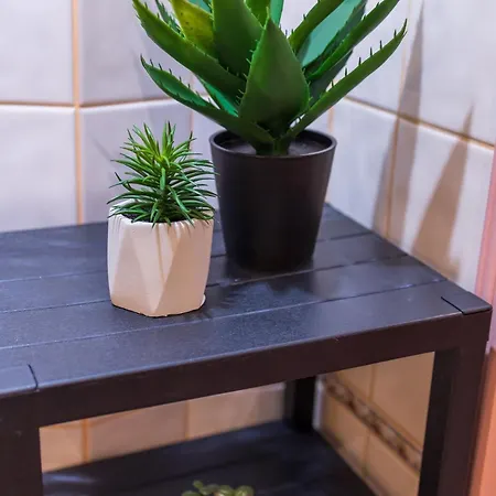 The Cozy Hub, * Варна