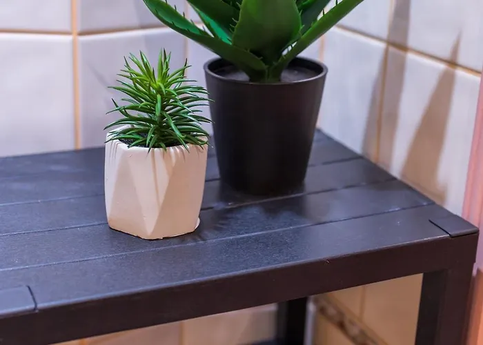 The Cozy Hub, * Varna